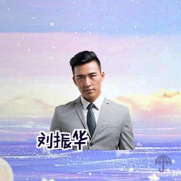 刘振华